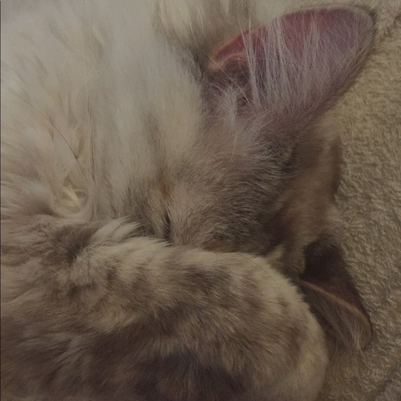 No lowball offers! - Picture 2 of 2